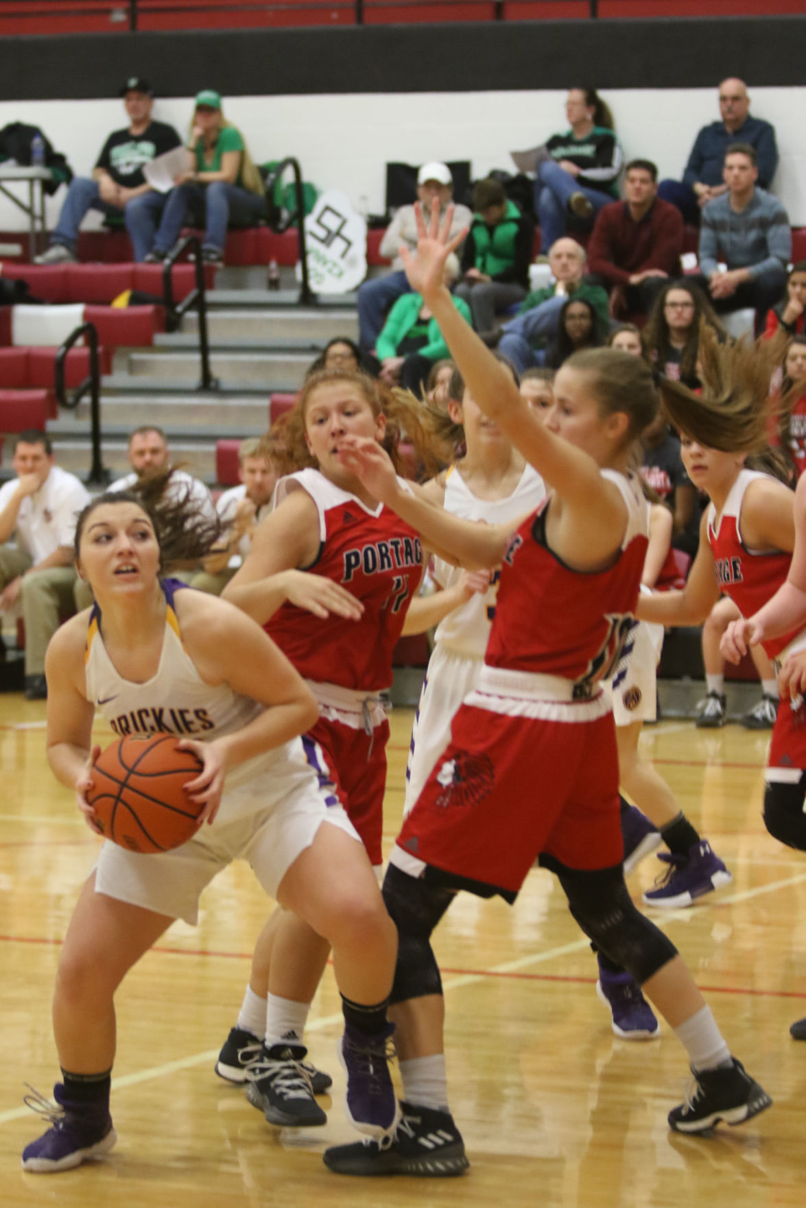 Gallery: Wheatfield Girls basketball sectional - Hobart vs. Portage